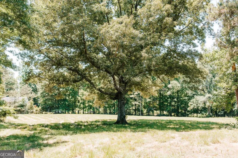 0 Mitchell Farm RD Colbert, GA 30628