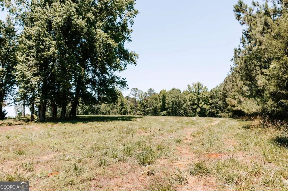 0 Mitchell Farm RD Colbert, GA 30628