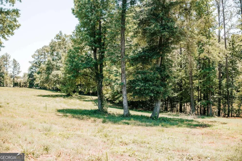 0 Mitchell Farm RD Colbert, GA 30628