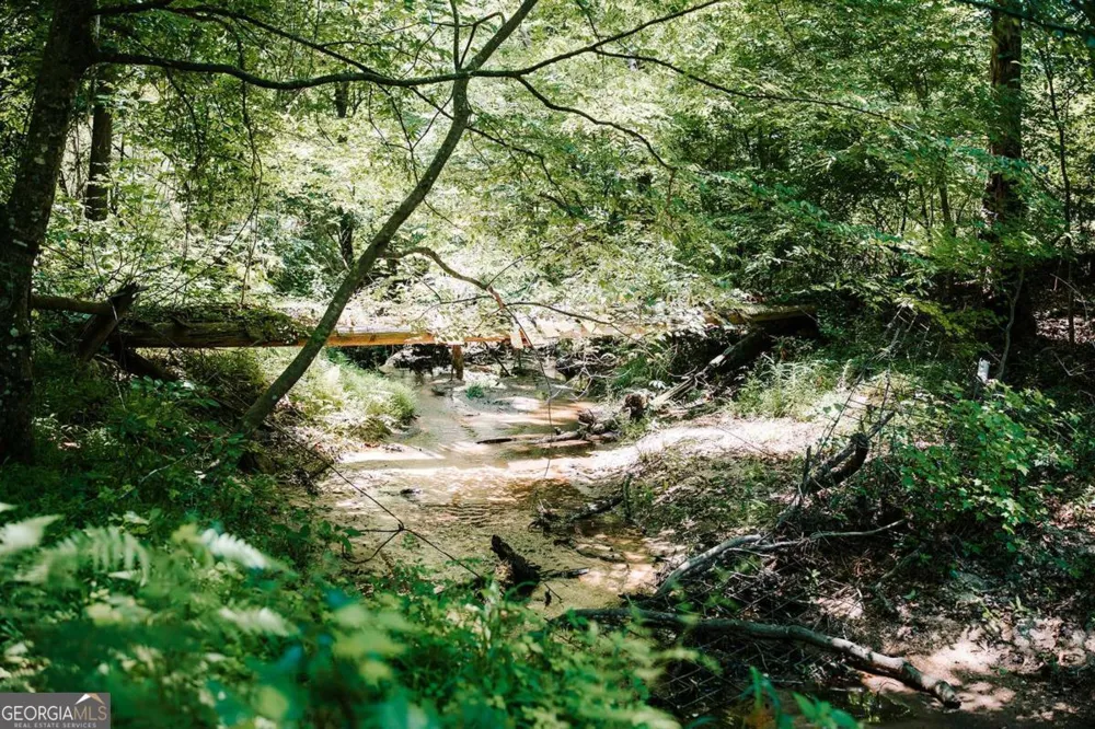 0 Mitchell Farm RD Colbert, GA 30628