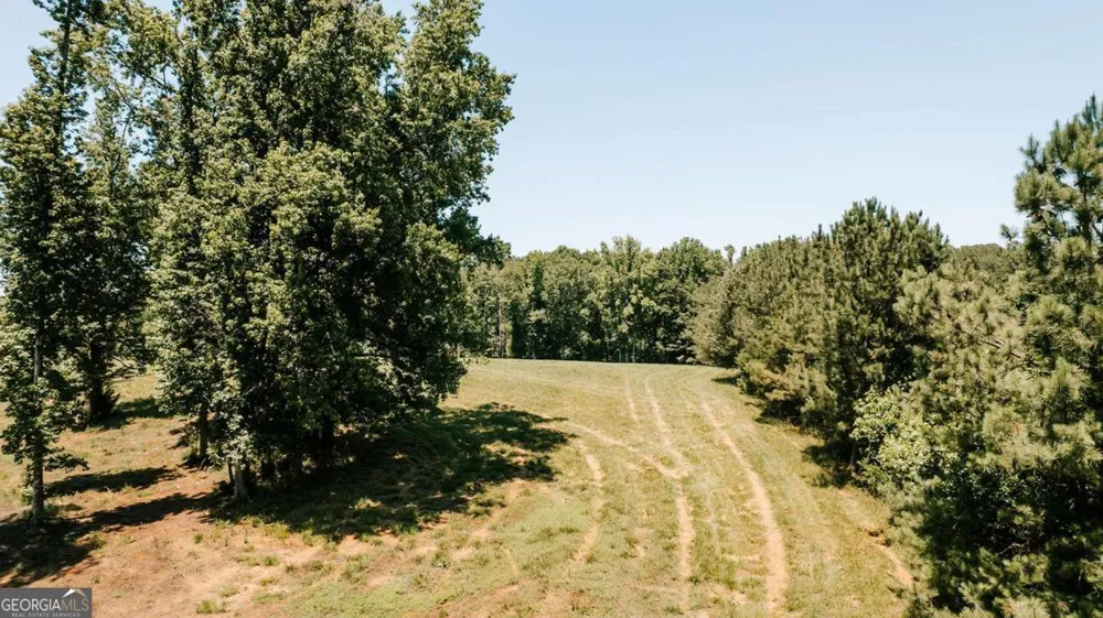 0 Mitchell Farm RD Colbert, GA 30628