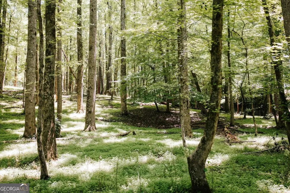 0 Mitchell Farm RD Colbert, GA 30628