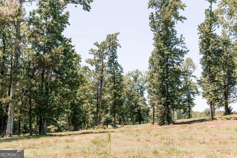 0 Mitchell Farm RD Colbert, GA 30628