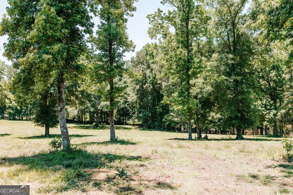 0 Mitchell Farm RD Colbert, GA 30628
