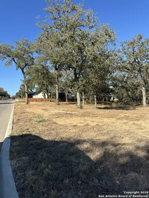 132 Chinaberry Hill La Vernia, TX 78121