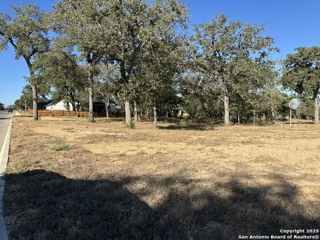 132 Chinaberry Hill La Vernia, TX 78121