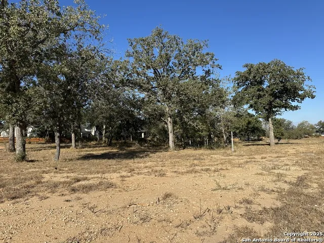 132 Chinaberry Hill La Vernia, TX 78121