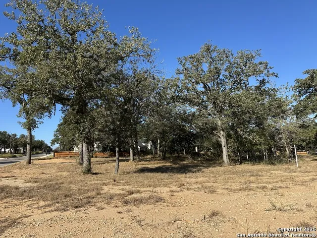 132 Chinaberry Hill La Vernia, TX 78121