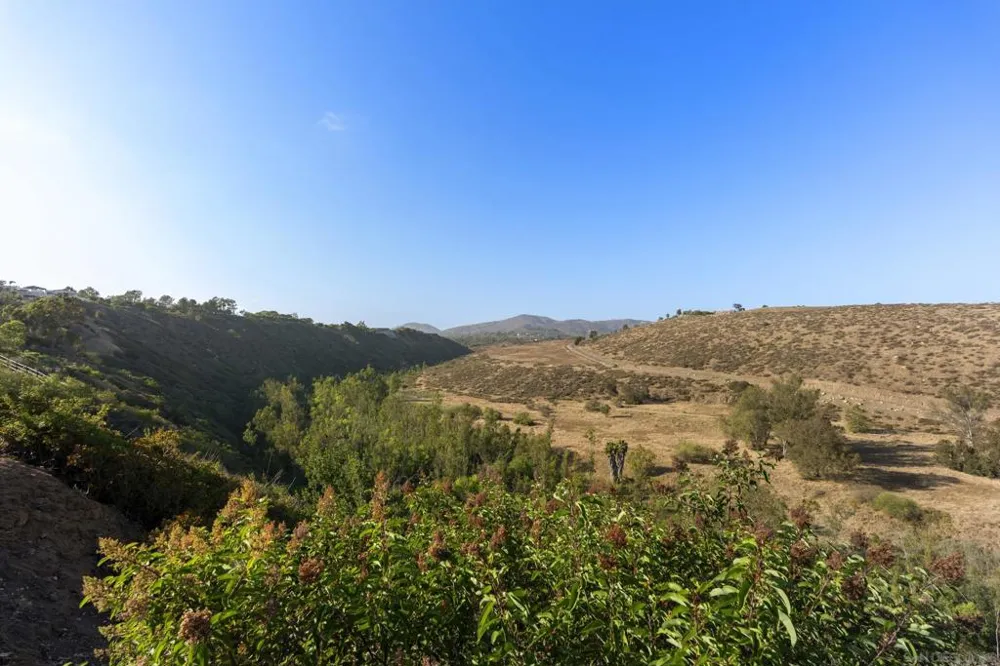 16551 Zumaque Rancho Santa Fe, CA 92067