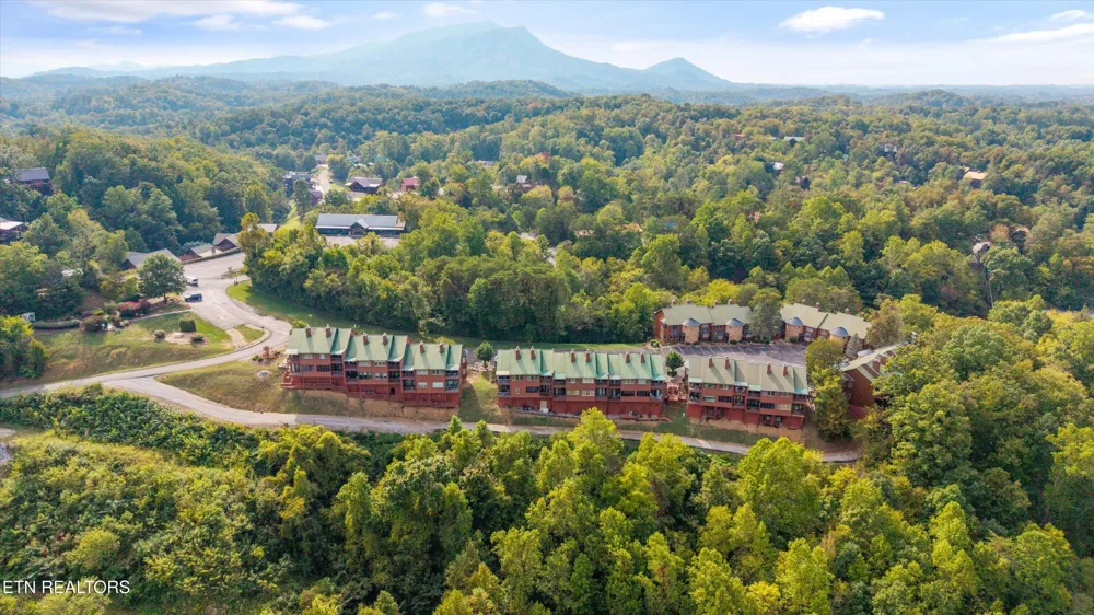 2044 Hickory Ridge Way #3334 Sevierville, TN 37862