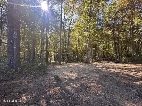 186 Cave Branch Rd