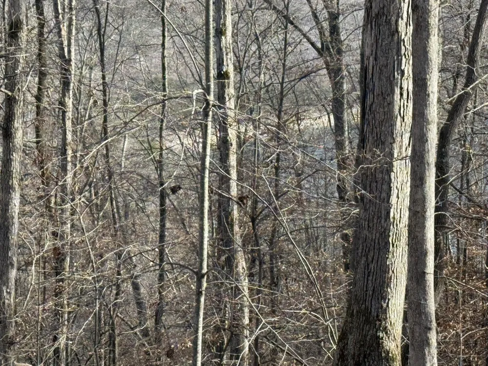 0 Mountain Harbor Drive Sparta, TN 38583