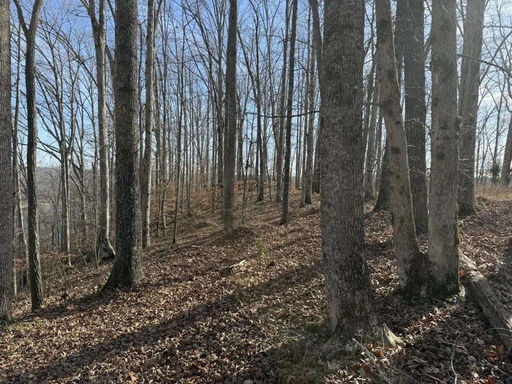 0 Mountain Harbor Drive Sparta, TN 38583