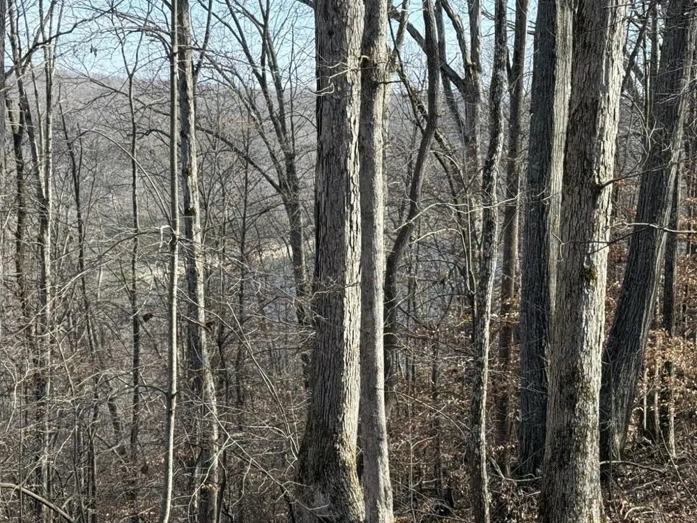 0 Mountain Harbor Drive Sparta, TN 38583