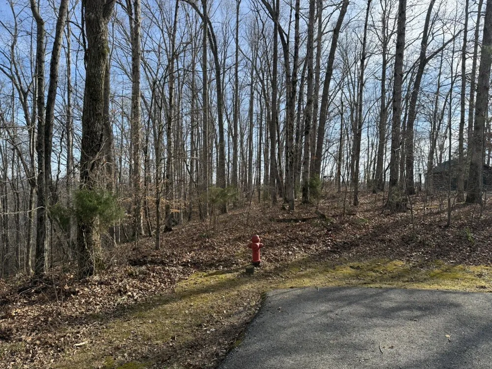 0 Mountain Harbor Drive Sparta, TN 38583