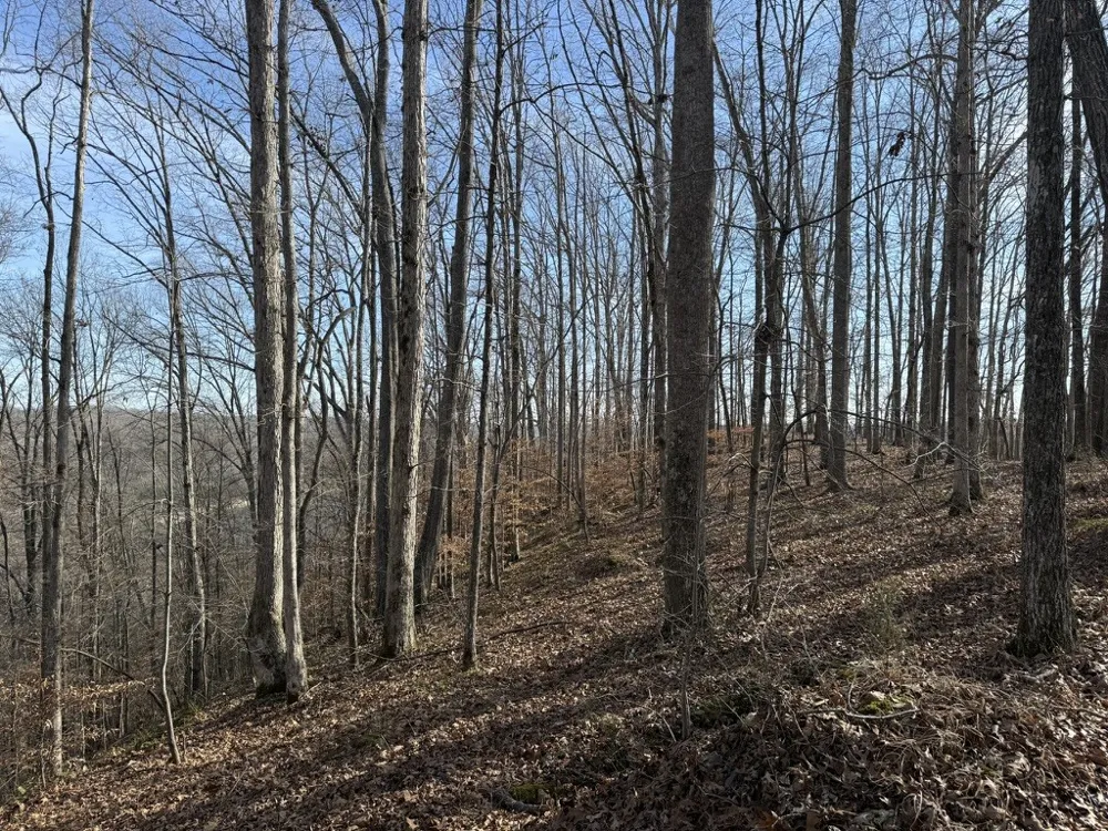 0 Mountain Harbor Drive Sparta, TN 38583