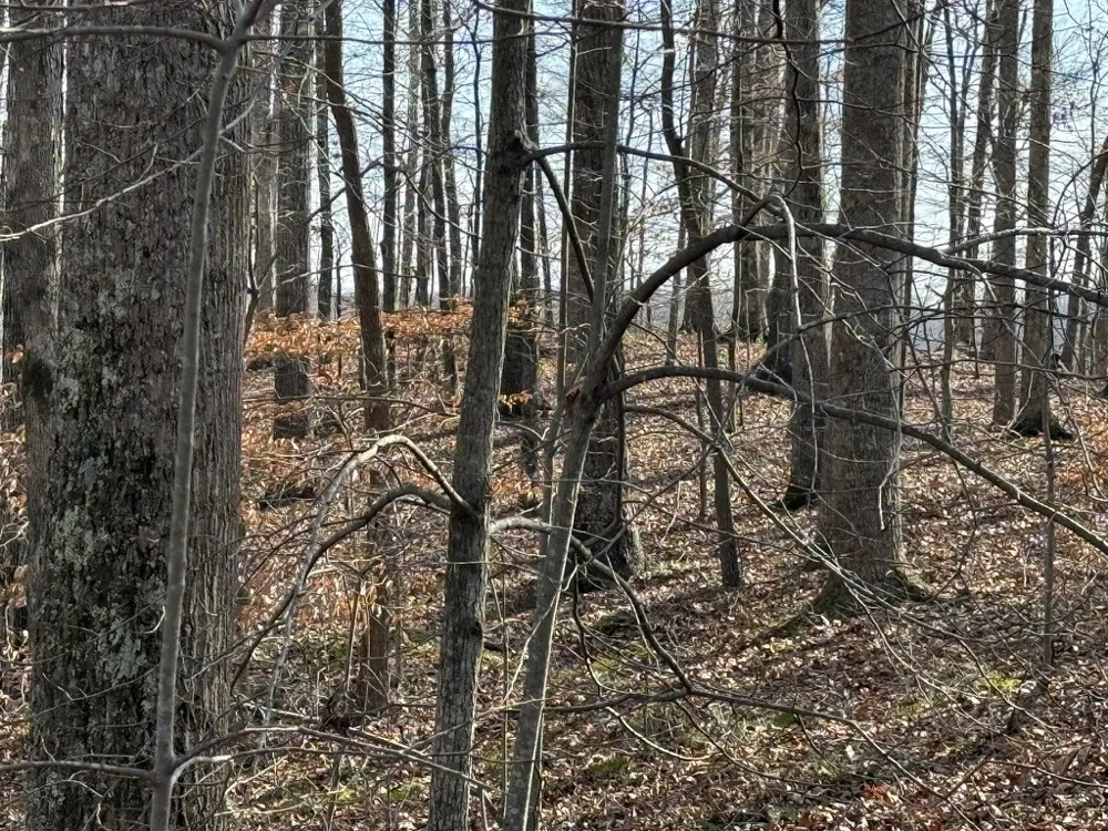 0 Mountain Harbor Drive Sparta, TN 38583