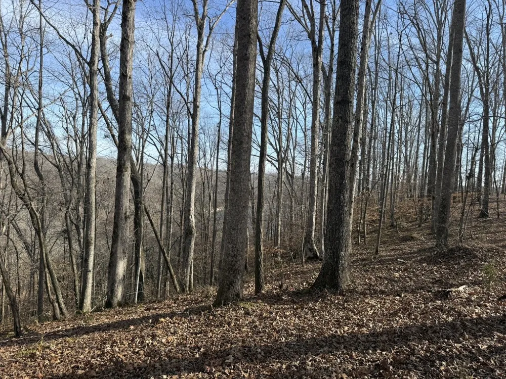 0 Mountain Harbor Drive Sparta, TN 38583