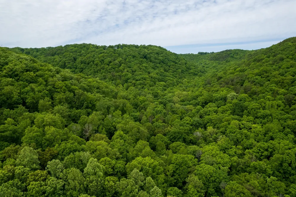 0 Murphy Hollow Trenton, GA 30752