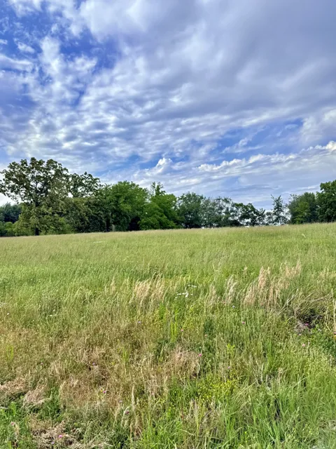 5165 Highway 41