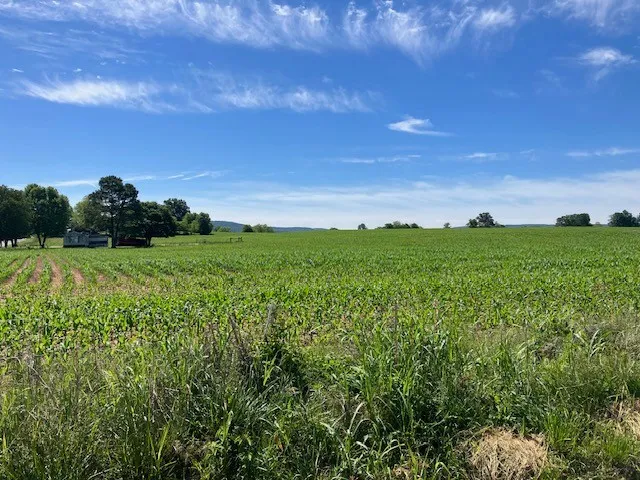 0 Wilder Rd Hillsboro, TN 37342