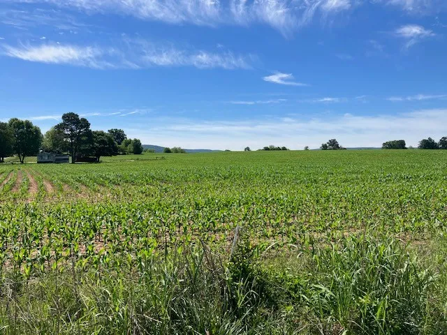 0 Wilder Rd Hillsboro, TN 37342