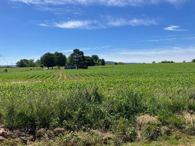 0 Wilder Rd Hillsboro, TN 37342