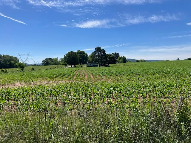 0 Wilder Rd Hillsboro, TN 37342