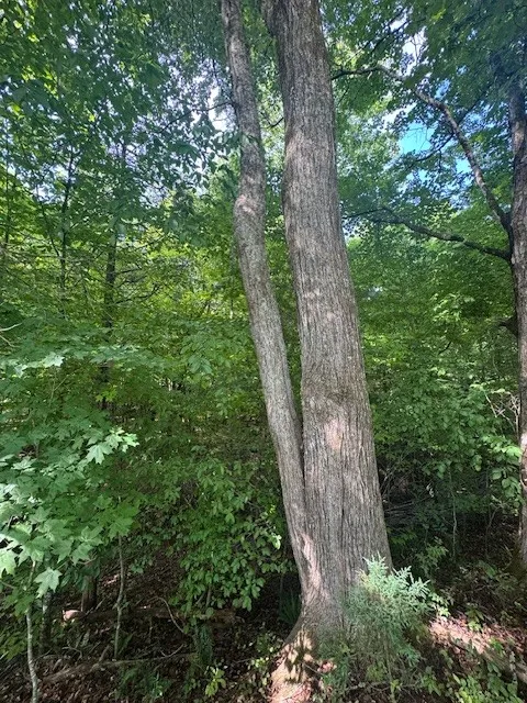 0 Anson Rd Cookeville, TN 38501