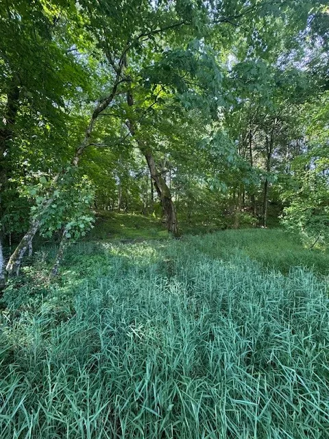 0 Anson Rd Cookeville, TN 38501