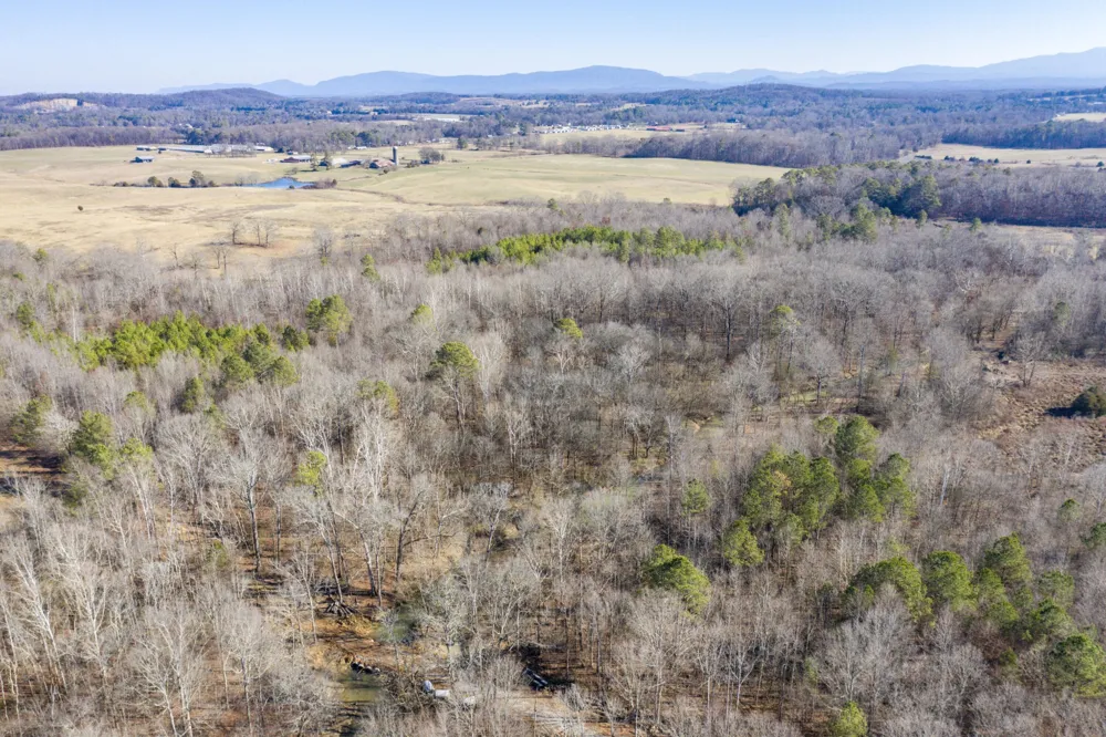 3919 SE Trewhitt Road Cleveland, TN 37323