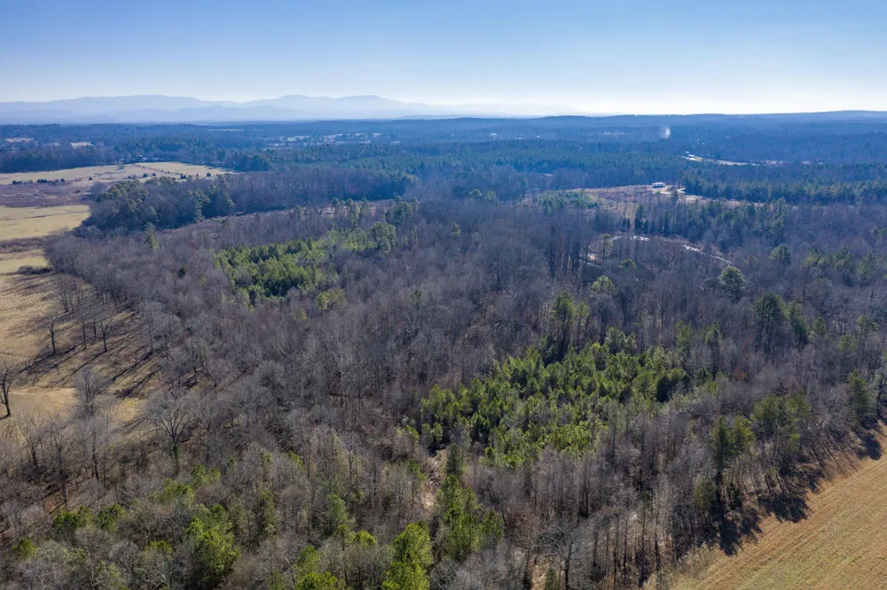 3919 SE Trewhitt Road Cleveland, TN 37323