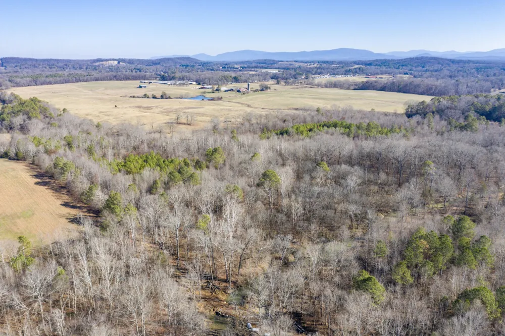3919 SE Trewhitt Road Cleveland, TN 37323