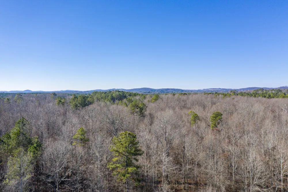 3919 SE Trewhitt Road Cleveland, TN 37323