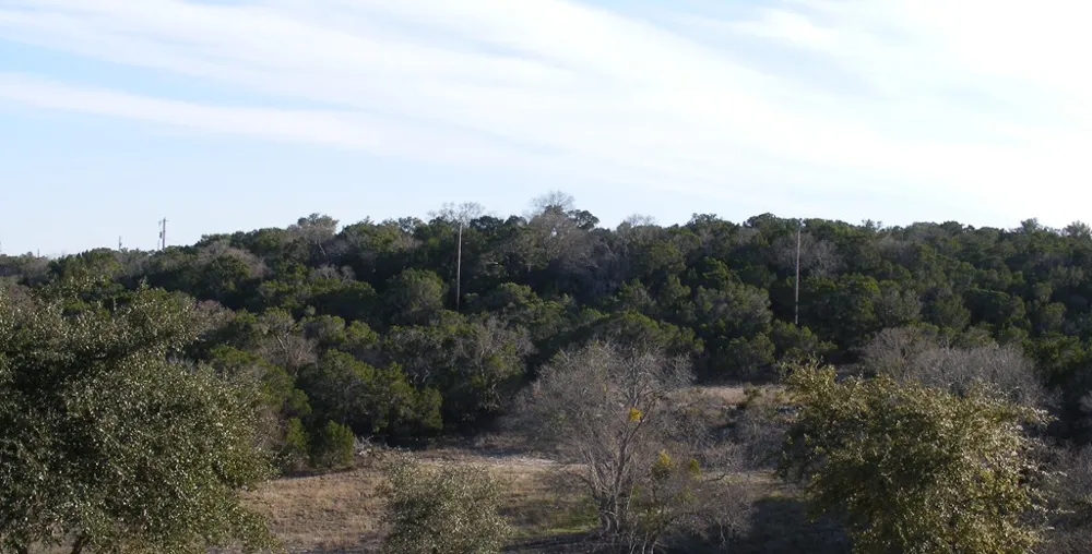19920 Old Burnet Road Jonestown, TX 78645