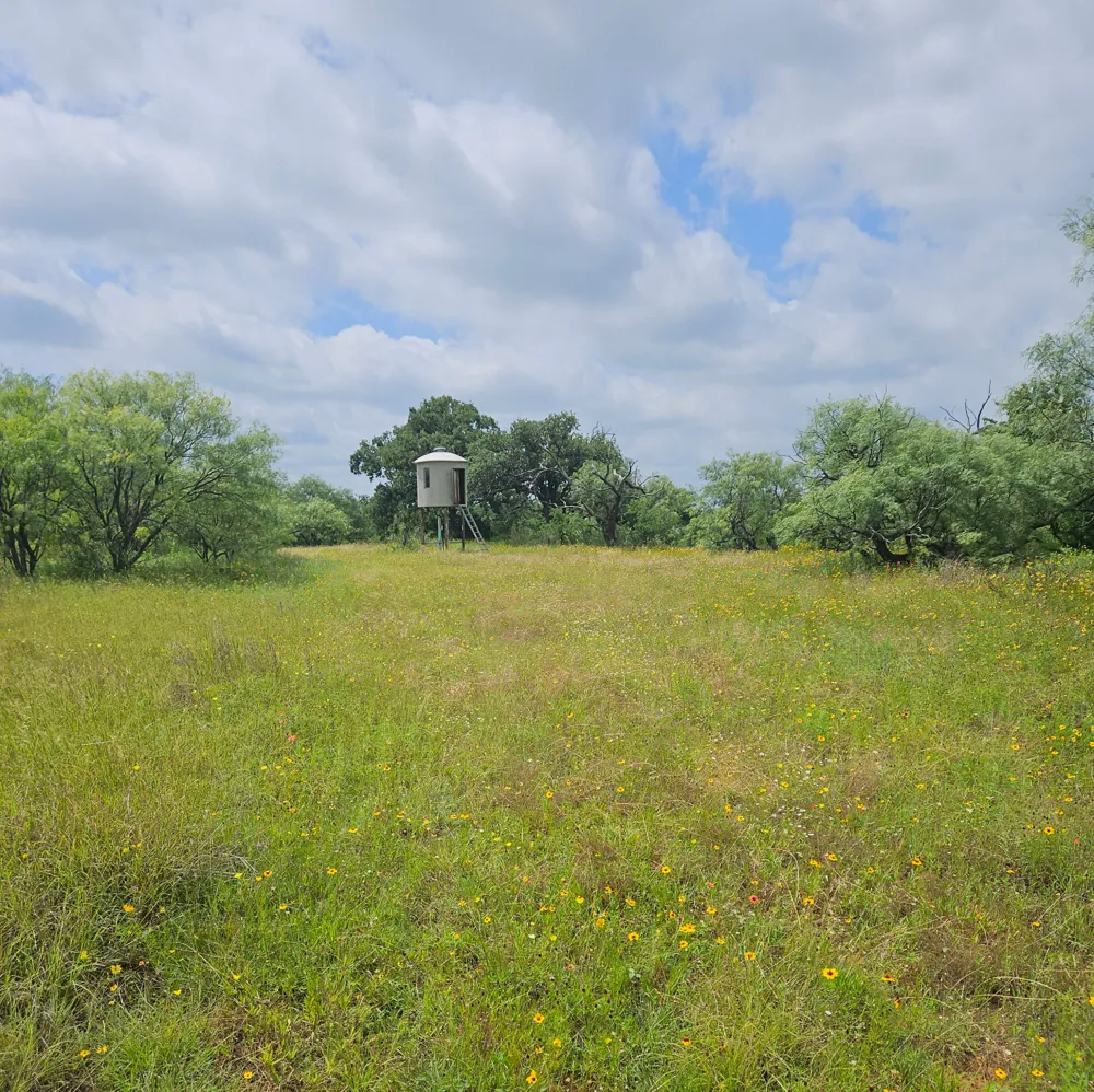 6990 County Road 246 Richland Springs, TX 76871