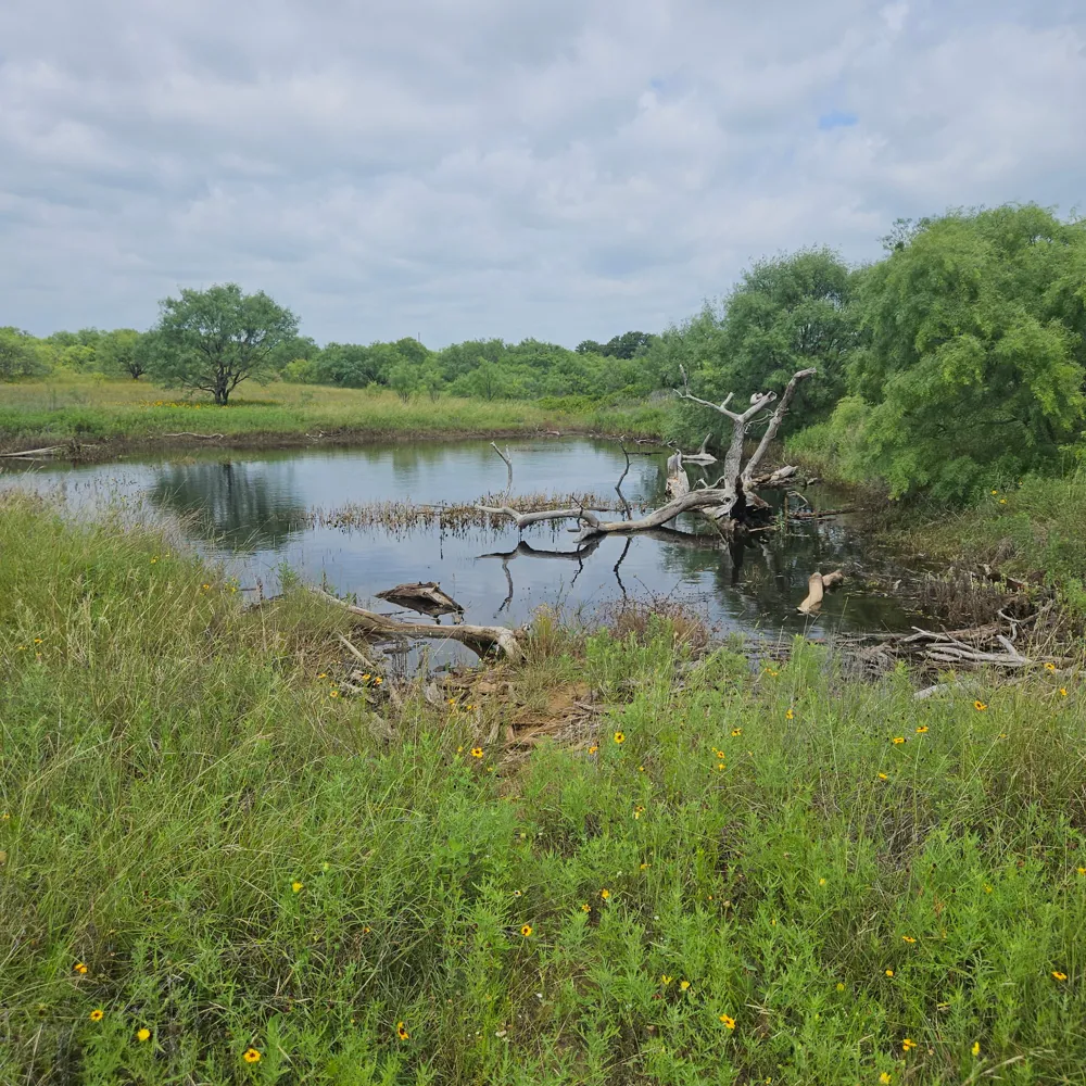6990 County Road 246 Richland Springs, TX 76871
