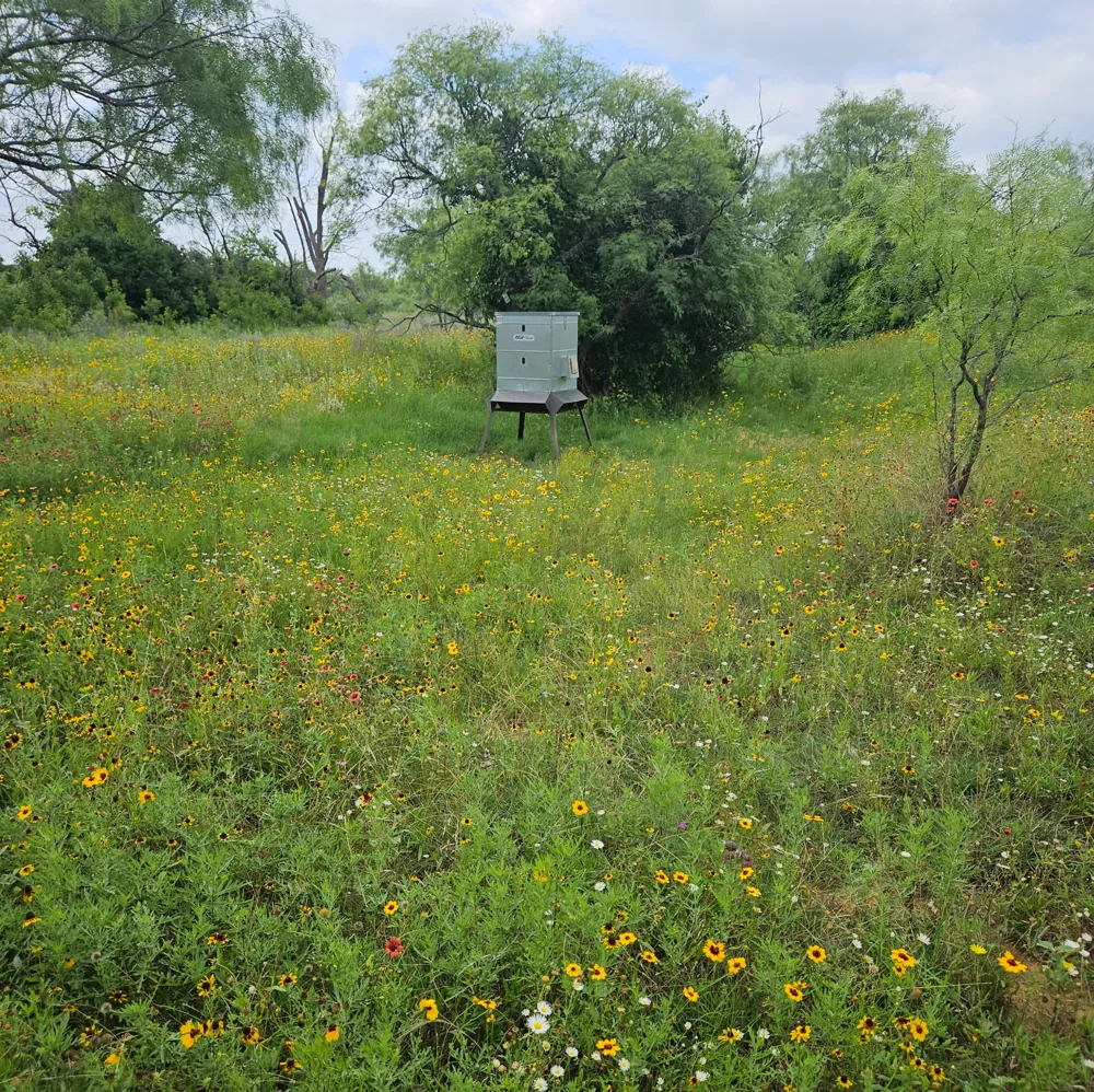 6990 County Road 246 Richland Springs, TX 76871