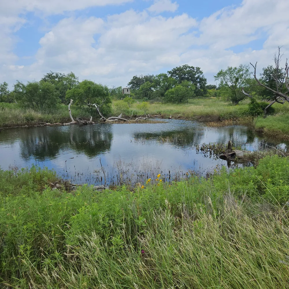 6990 County Road 246 Richland Springs, TX 76871