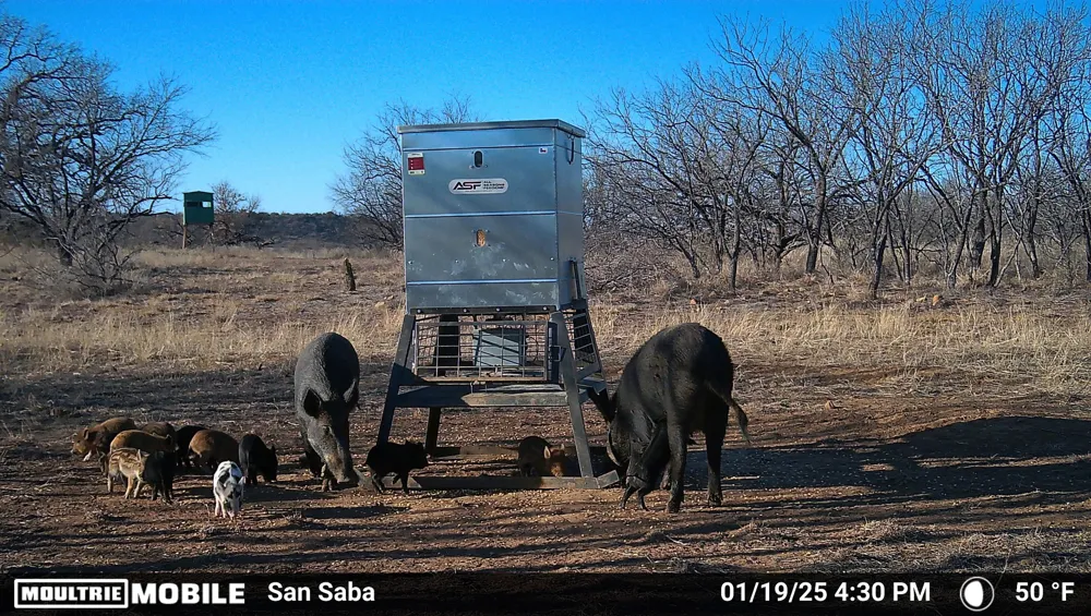 6990 County Road 246 Richland Springs, TX 76871