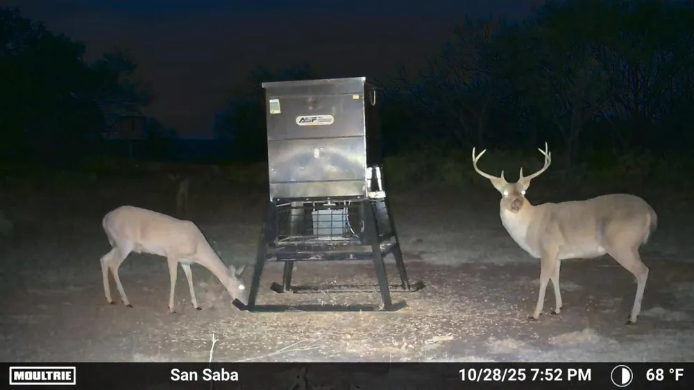 6990 County Road 246 Richland Springs, TX 76871