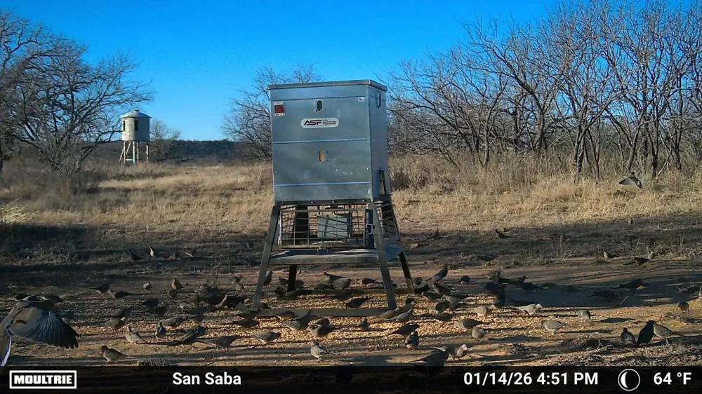 6990 County Road 246 Richland Springs, TX 76871