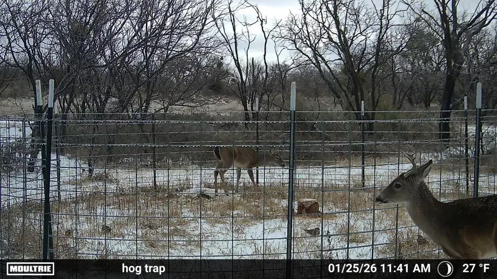 6990 County Road 246 Richland Springs, TX 76871