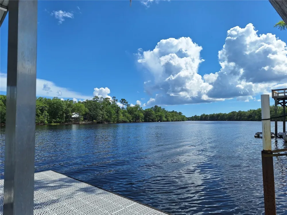 8213 RIVERVIEW ROAD Fanning Springs, FL 32693