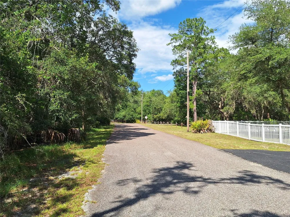 8213 RIVERVIEW ROAD Fanning Springs, FL 32693