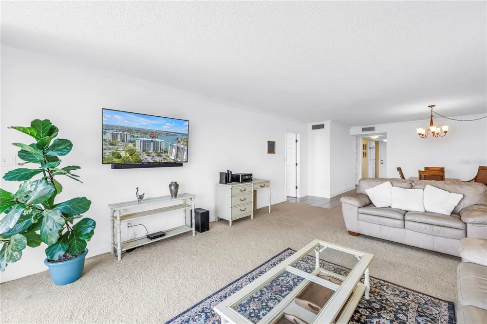 9425 BLIND PASS ROAD #207 St Pete Beach, FL 33706