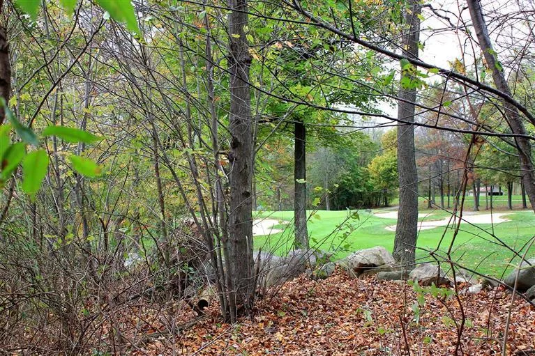 7326 Donald Ross Street Augusta, MI 49012