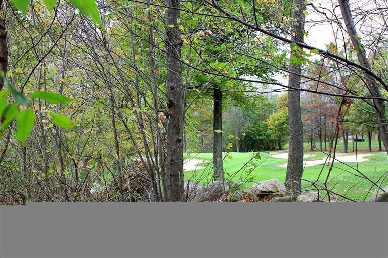15378 AW Tillinghast Circle Augusta, MI 49012