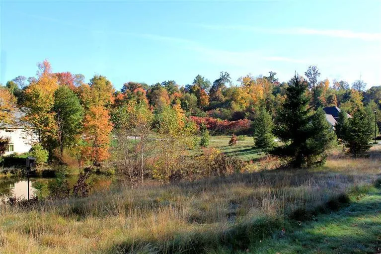 15378 AW Tillinghast Circle Augusta, MI 49012