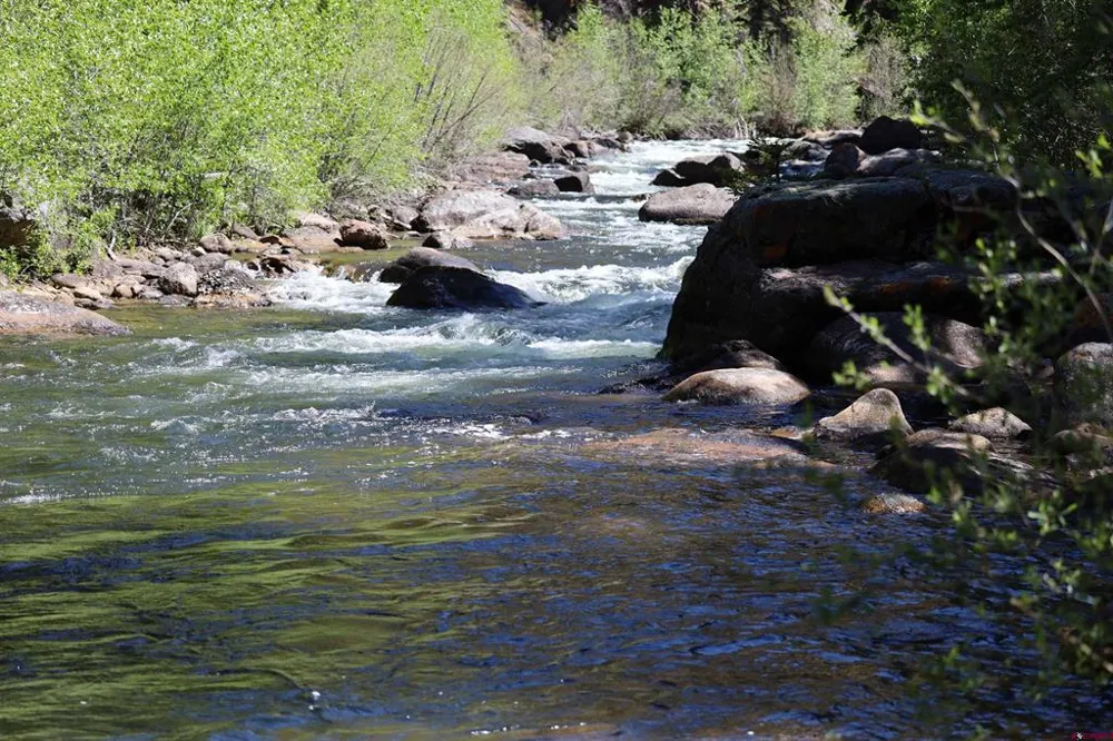 11109 County Road 742 Almont, CO 81210